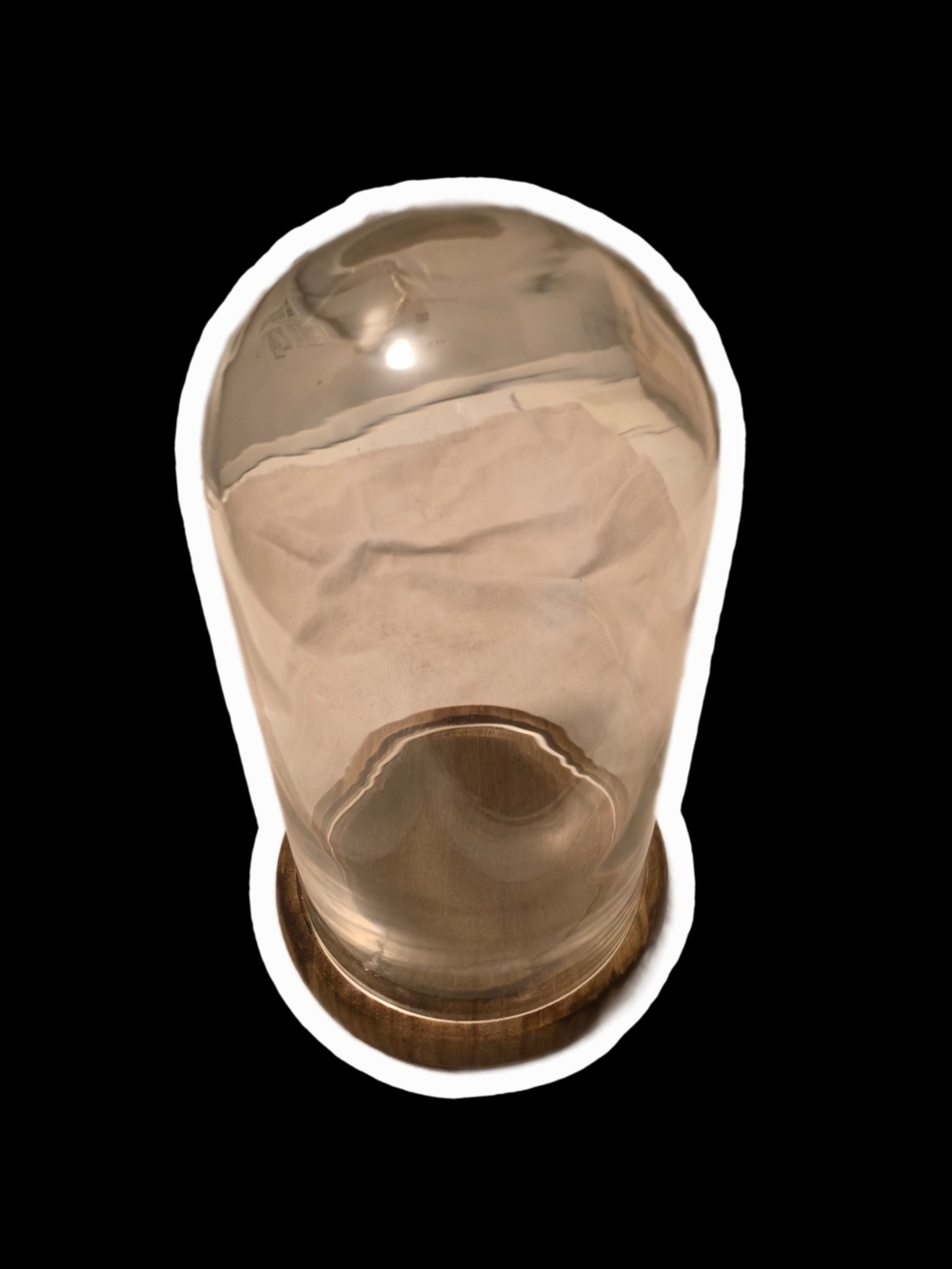 Glass Display Cloche with Wood Base